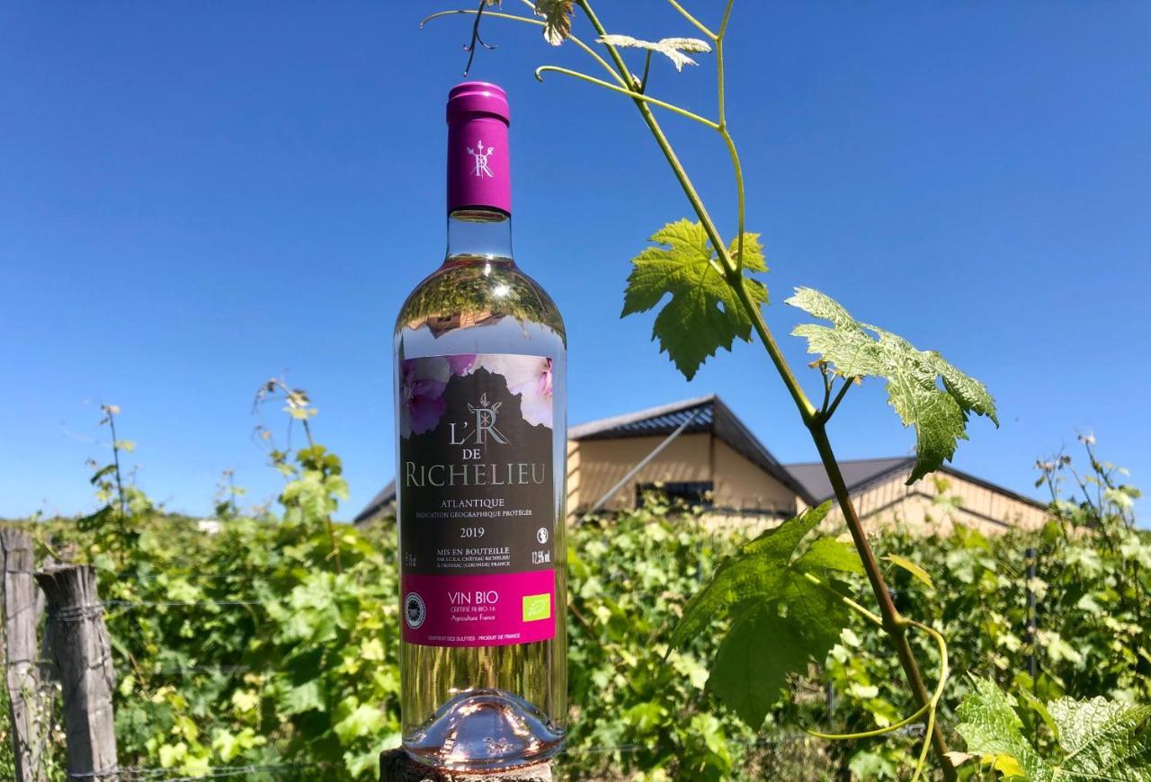 Chateau Richelieu Fronsac  Esterno foto