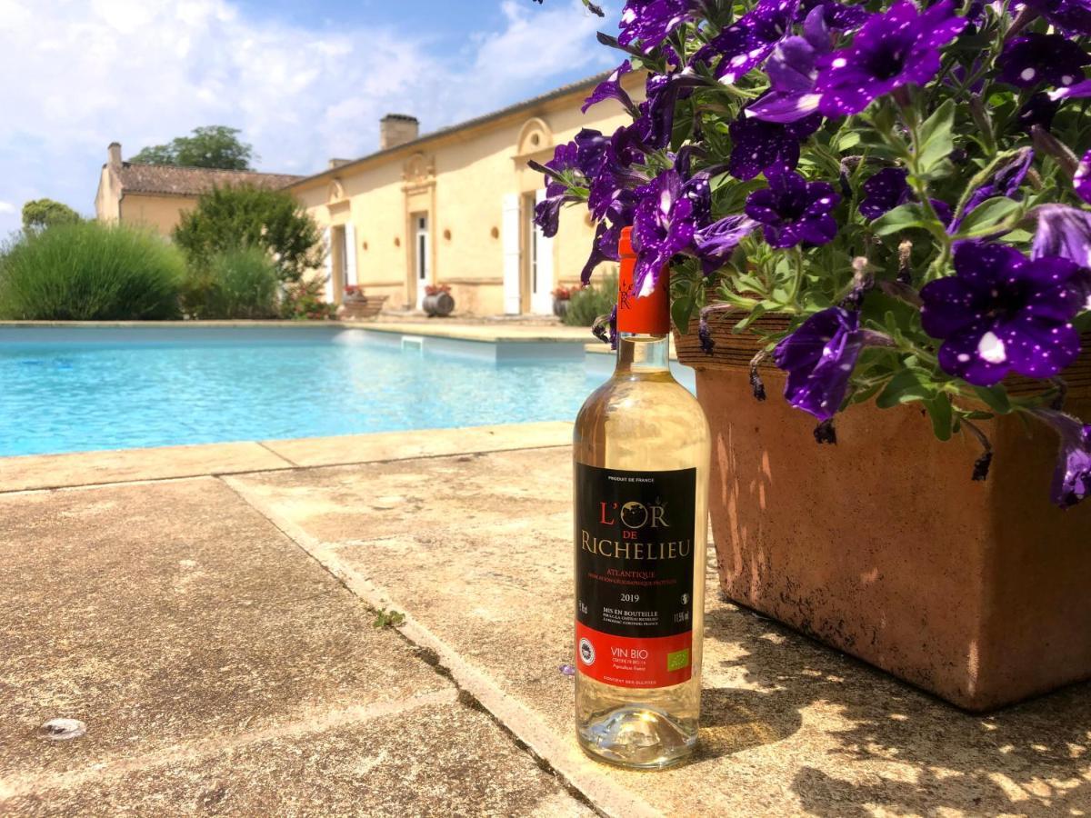 Chateau Richelieu Fronsac  Esterno foto