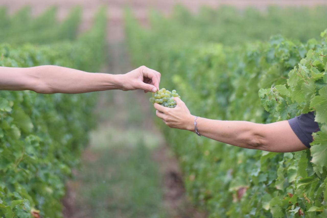 Chateau Richelieu Fronsac  Esterno foto