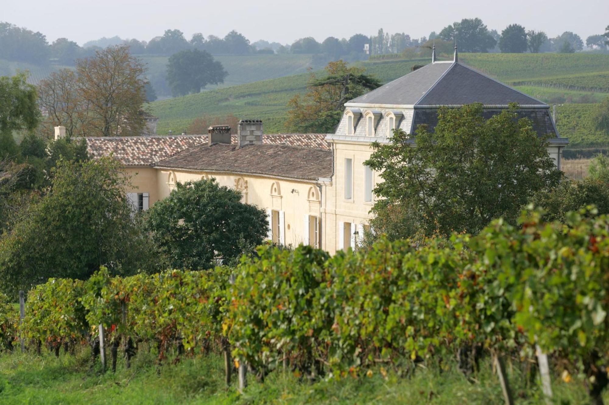 Chateau Richelieu Fronsac  Esterno foto