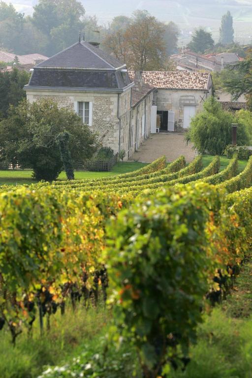 Chateau Richelieu Fronsac  Esterno foto