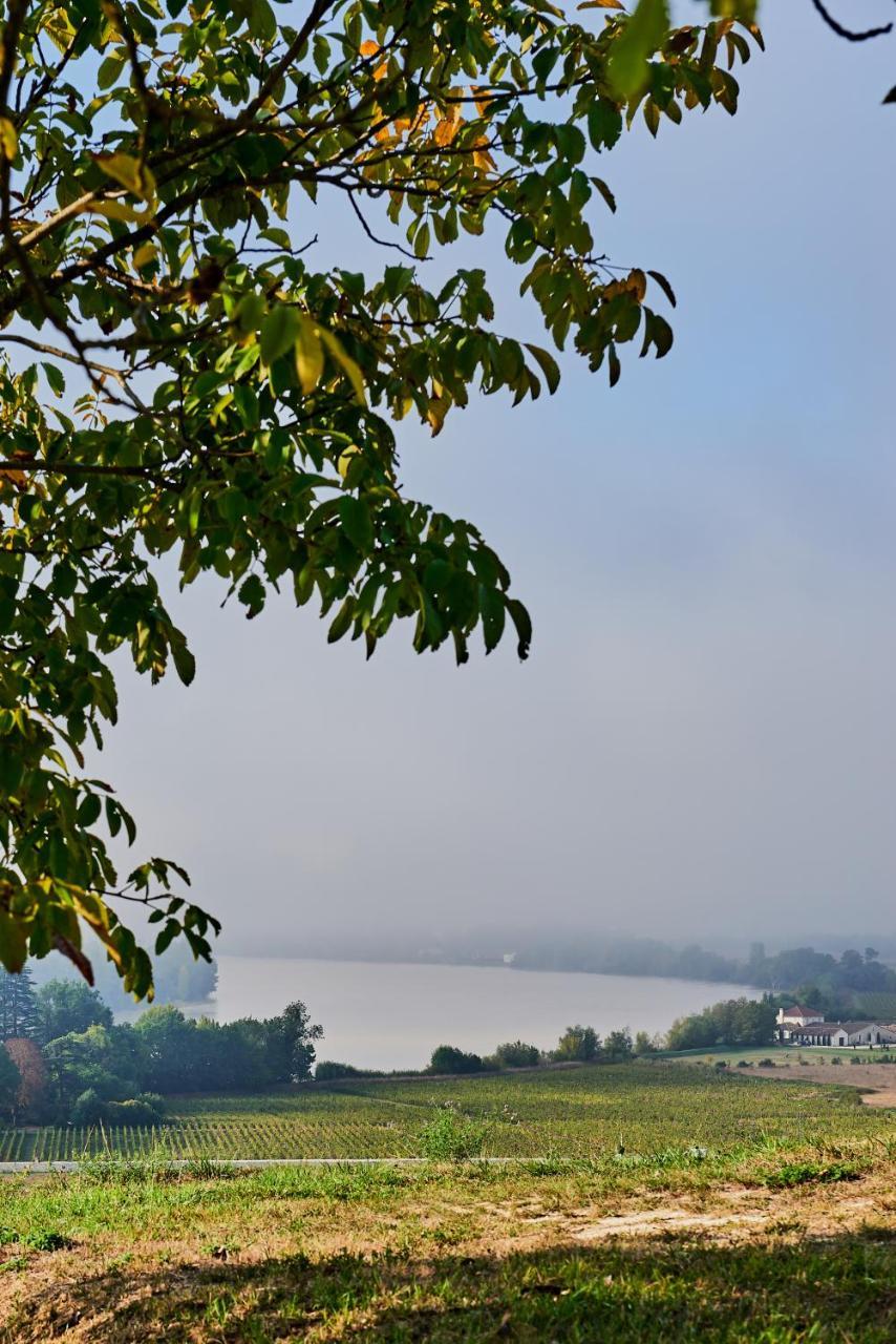 Chateau Richelieu Fronsac  Esterno foto